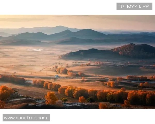 探索光影世界：从基础到进阶的摄影技巧与创意实践