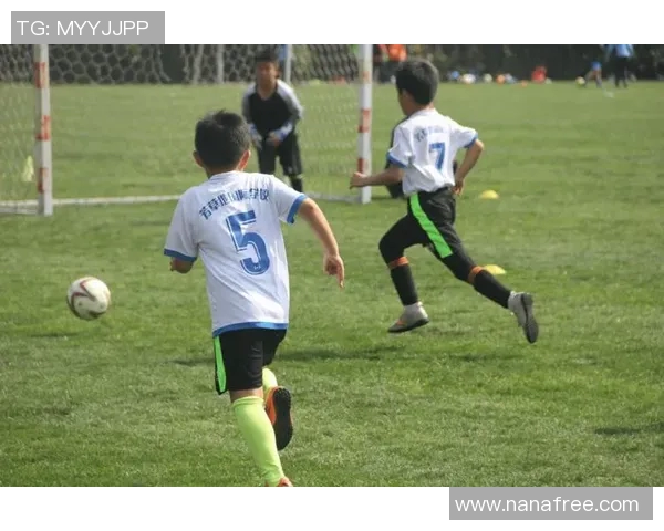 深度对话刘磊探讨足球人生的起伏与梦想追逐